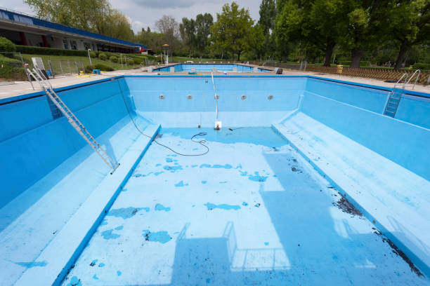 Best Professional water damage repair  in Lake Vla, IL