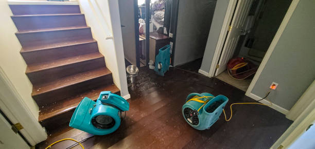 Best Water damage restoration specialists  in Lake Vla, IL