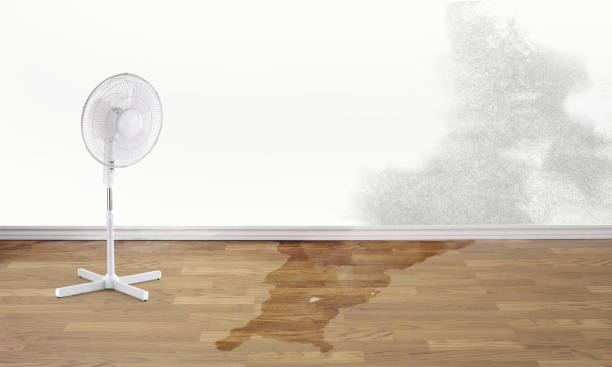 Water damage restoration experts in Lake Villa, IL