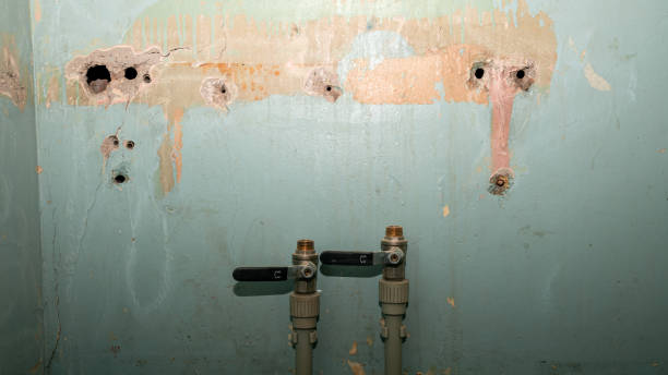 Best Flooded house restoration  in Lake Vla, IL