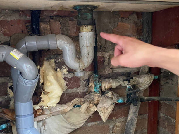 Best 24/7 water damage repair  in Lake Vla, IL