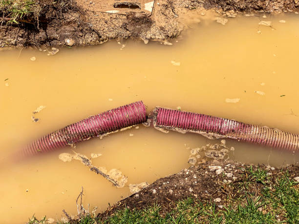 Best Flood damage cleanup  in Lake Vla, IL