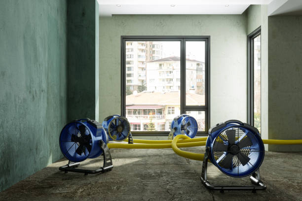 Best Fire Damage Restoration  in Lake Vla, IL