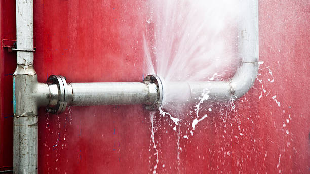 Best Sewage cleanup and water damage restoration  in Lake Vla, IL